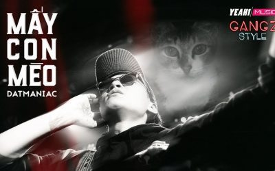 Lời bài hát Mấy con mèo lyric