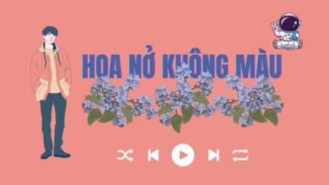 Lời Bài Hát Hoa Nở Không Màu Remix, Karaoke, Guitar