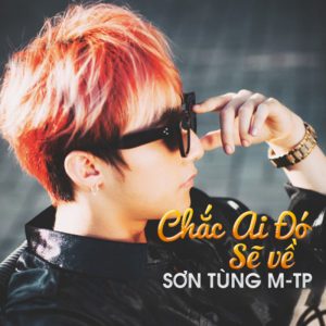 Lời bài hát Chắc Ai Đó Sẽ Về Sơn Tùng M-TP