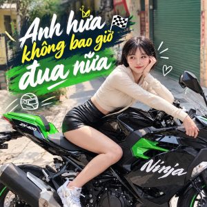 Lời bài hát Anh Hứa Không Bao Giờ Đua Nữa